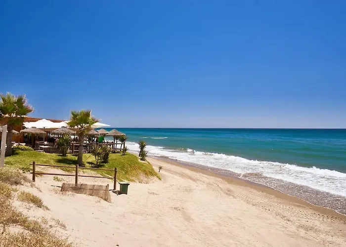 Oleholidays 1106 Romana Playa Primera Linea Playa