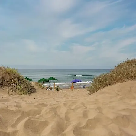 Lägenhet Oleholidays 1106 Romana Playa Primera Linea Playa